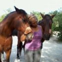 Rancho Uinverso A.C. Heal A Horse Sanctuary of Cozumel, Mexico is Verified by Global Federation of Animal Sanctuaries
