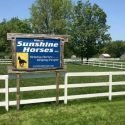 Sunshine Horses, Inc. of Clay, New York is Verified by Global Federation of Animal Sanctuaries
