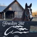 Freedom Hill Horse Rescue of Owings, Maryland is Verified by Global Federation of Animal Sanctuaries