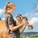 Goodheart Animal Sanctuaries Becomes the First Farm Sanctuary in Europe to be Verified by Global Federation of Animal Sanctuaries
