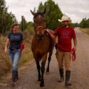 New Mexico Farm Sanctuary in Tijeras, NM is Accredited by Global Federation of Animal Sanctuaries
