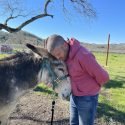 Oscar’s Place Donkey Adoption Center and Sanctuary in Hopland, California is Verified by the Global Federation of Animal Sanctuaries