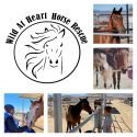 Wild at Heart Horse Rescue in Lancaster, California is Verified by the Global Federation of Animal Sanctuaries