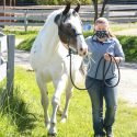 Save a Forgotten Equine (SAFE) in Redmond, Washington is Now Accredited by the Global Federation of Animal Sanctuaries