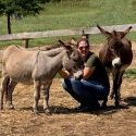 Hope’s Legacy Equine Rescue in Afton, Virginia is Accredited by the Global Federation of Animal Sanctuaries