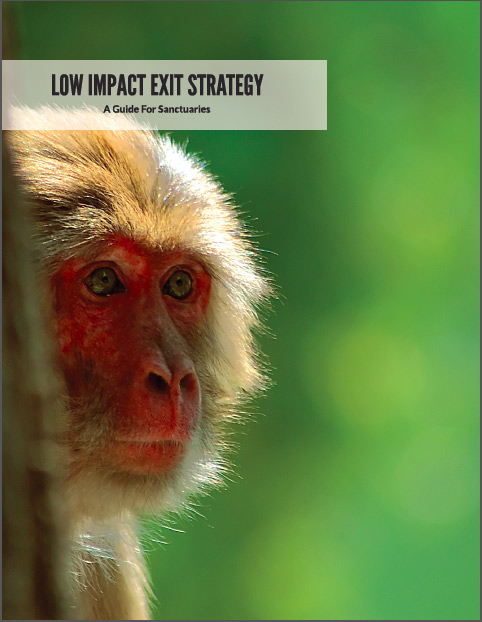 Screen-Shot-2017-09-14-at-6.40