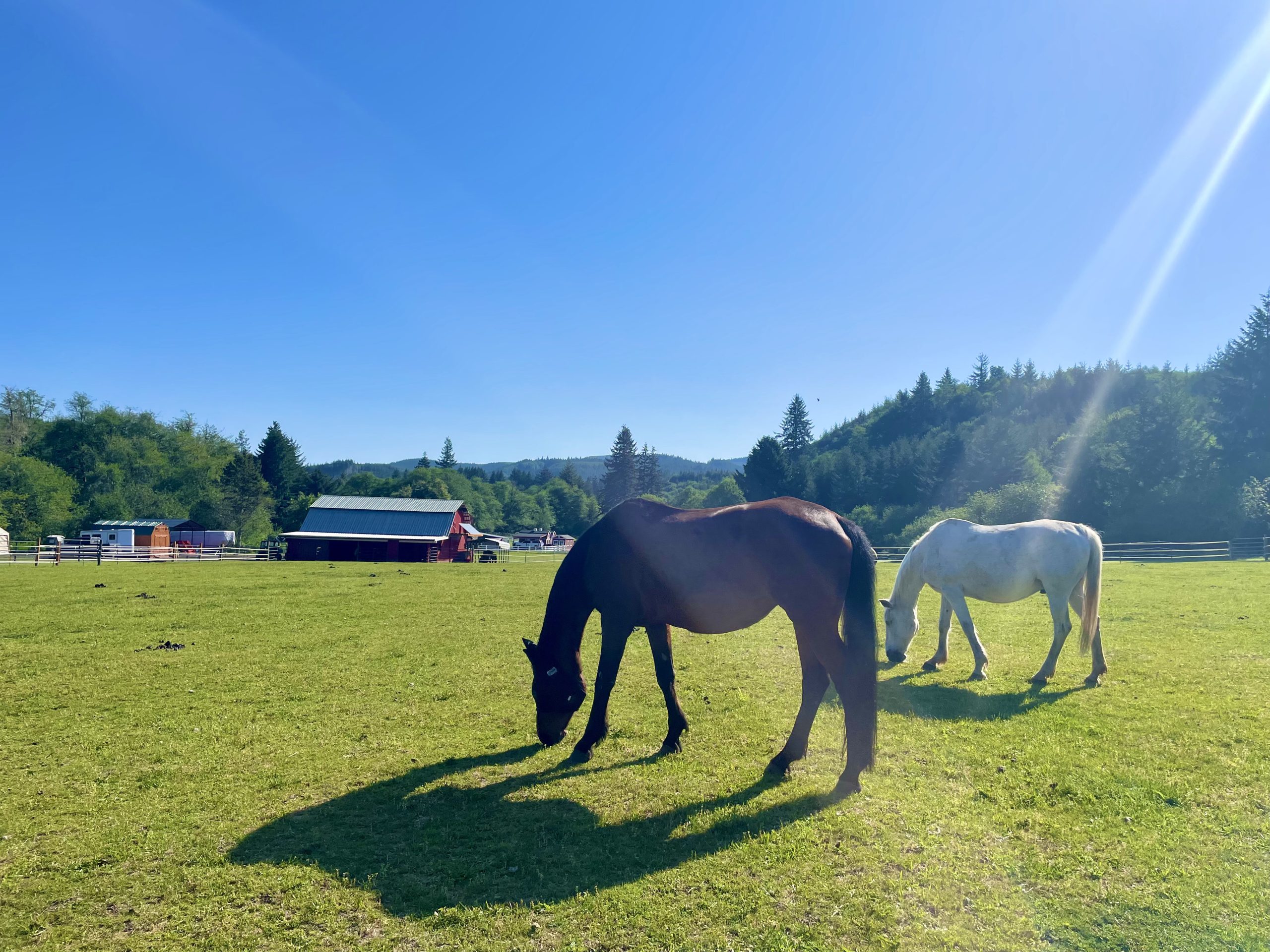 Help Us Welcome Newly Accredited On Golden Rescue to GFAS