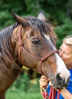 Let’s Congratulate Therapeutic Horses of Saratoga on attaining GFAS Accreditation