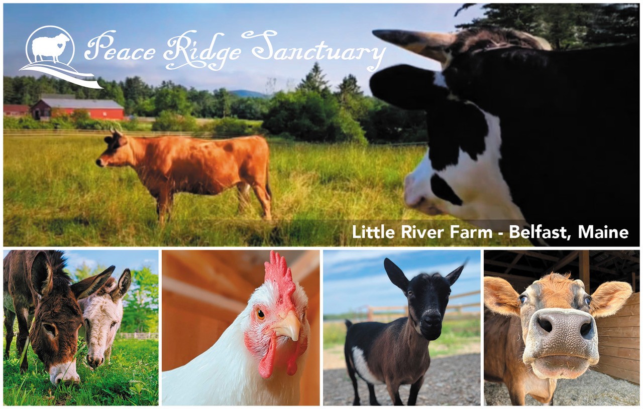 Peace Ridge Sanctuary Expands Impact with 4 GFAS Accredited Facilities in New England