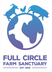 Screenshot 2025-10-23 at 11.32.55 AM