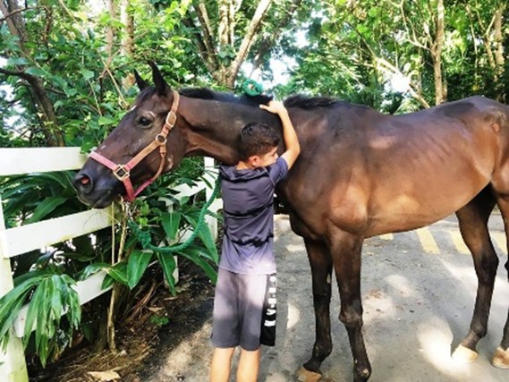 Let’s Congratulate Caribbean Thoroughbred Aftercare on GFAS Verification